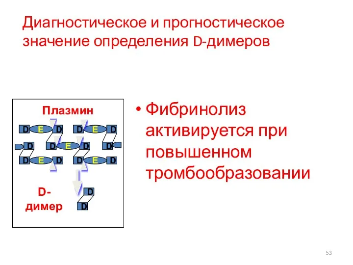 Диагностическое и прогностическое значение определения D-димеров Фибринолиз активируется при повышенном тромбообразовании