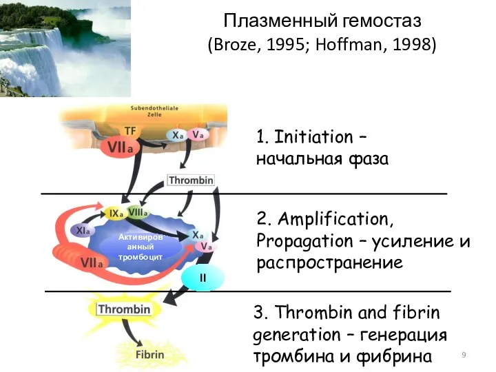 Плазменный гемостаз (Broze, 1995; Hoffman, 1998) 1. Initiation – начальная фаза