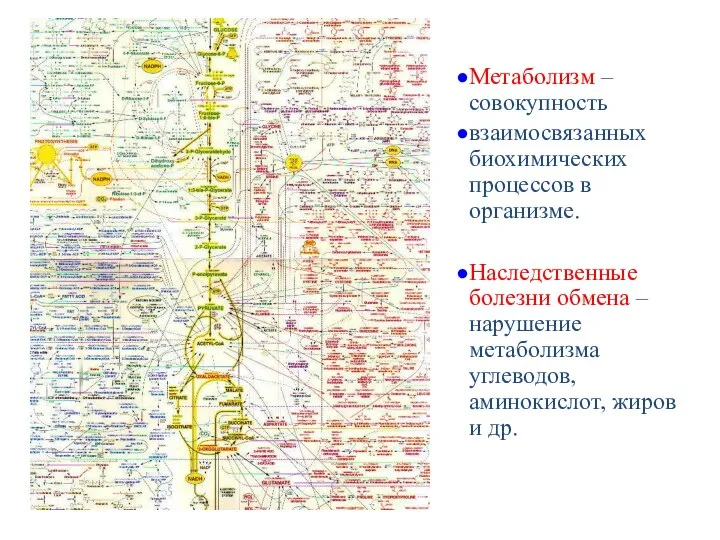 Метаболизм – совокупность взаимосвязанных биохимических процессов в организме. Наследственные болезни обмена