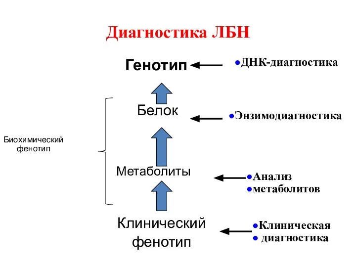 Диагностика ЛБН Генотип Белок Метаболиты Клинический фенотип Биохимический фенотип ДНК-диагностика Энзимодиагностика Анализ метаболитов Клиническая диагностика