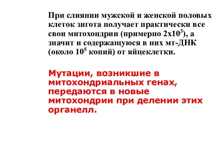 При слиянии мужской и женской половых клеток зигота получает практически все