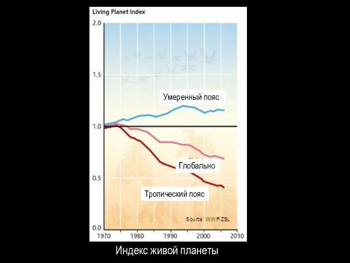 Индекс живой планеты Умеренный пояс Глобально Тропический пояс