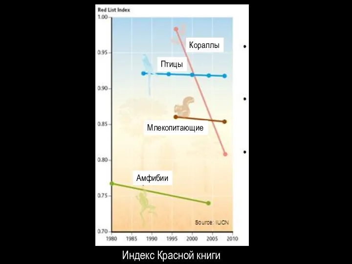 Индекс Красной книги Амфибии Млекопитающие Птицы Кораллы