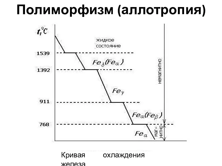 Полиморфизм (аллотропия) Кривая охлаждения железа