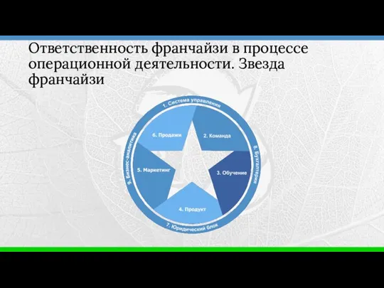 Ответственность франчайзи в процессе операционной деятельности. Звезда франчайзи