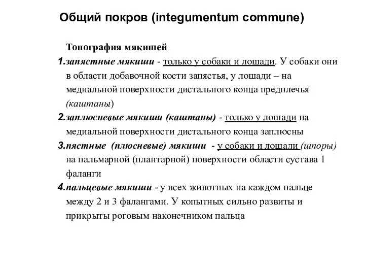 Общий покров (integumentum commune) Топография мякишей запястные мякиши - только у