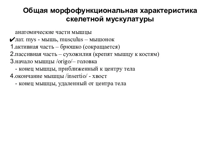 Общая морфофункциональная характеристика скелетной мускулатуры анатомические части мышцы лат. mys -