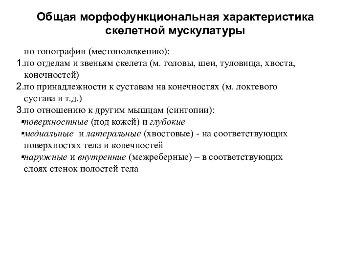 Общая морфофункциональная характеристика скелетной мускулатуры по топографии (местоположению): по отделам и