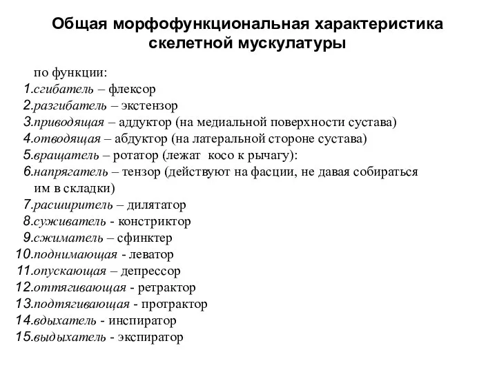 Общая морфофункциональная характеристика скелетной мускулатуры по функции: сгибатель – флексор разгибатель