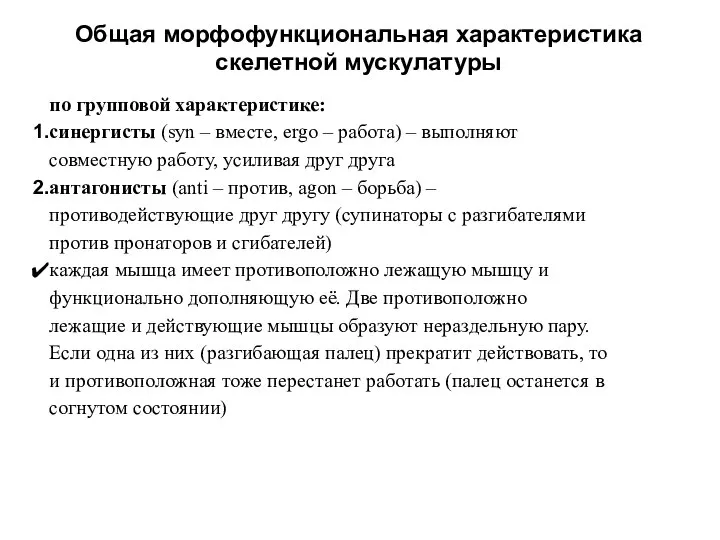 Общая морфофункциональная характеристика скелетной мускулатуры по групповой характеристике: синергисты (syn –