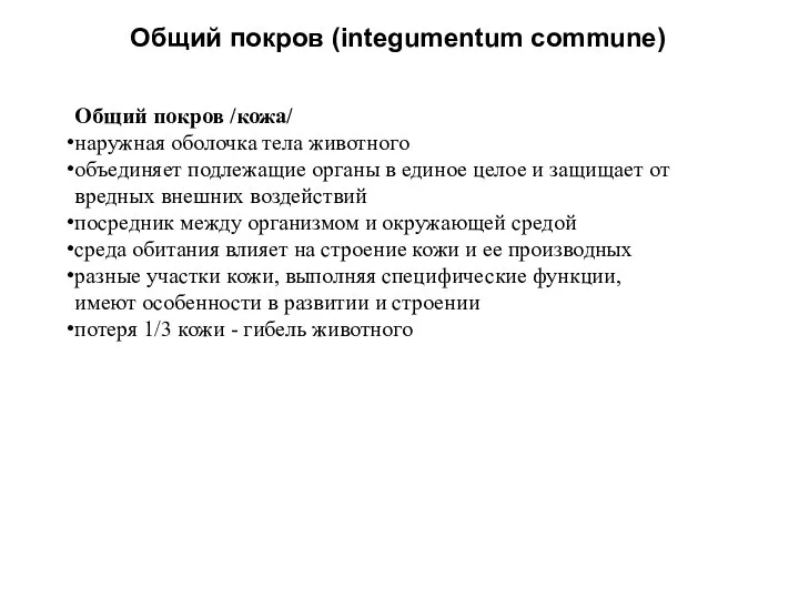 Общий покров (integumentum commune) Общий покров /кожа/ наружная оболочка тела животного