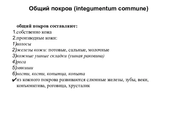 Общий покров (integumentum commune) общий покров составляют: собственно кожа производные кожи: