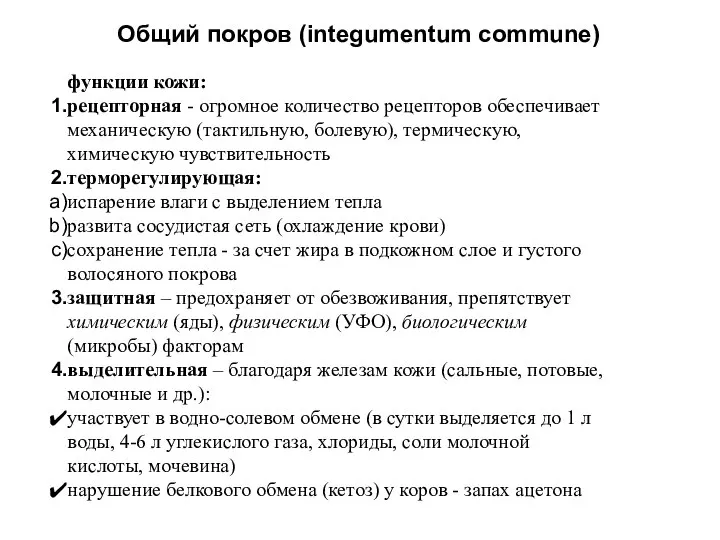 Общий покров (integumentum commune) функции кожи: рецепторная - огромное количество рецепторов