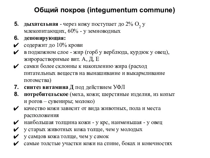 Общий покров (integumentum commune) дыхательная - через кожу поступает до 2%