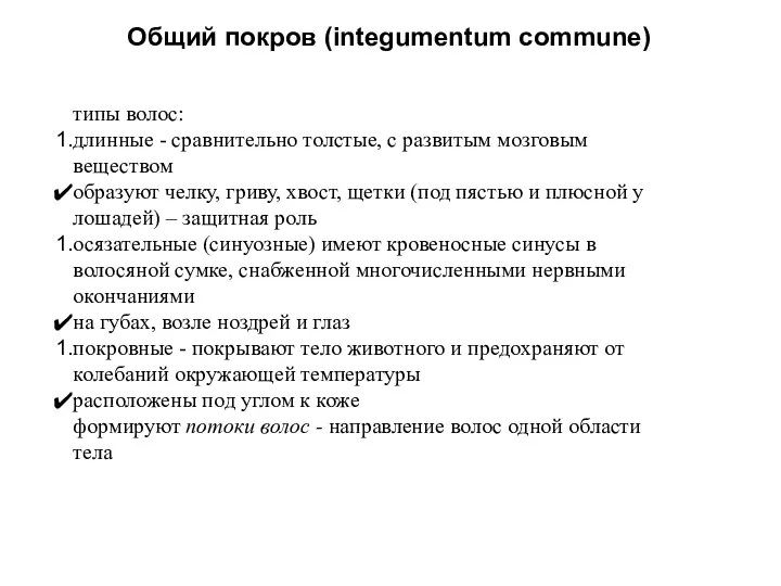 Общий покров (integumentum commune) типы волос: длинные - сравнительно толстые, с