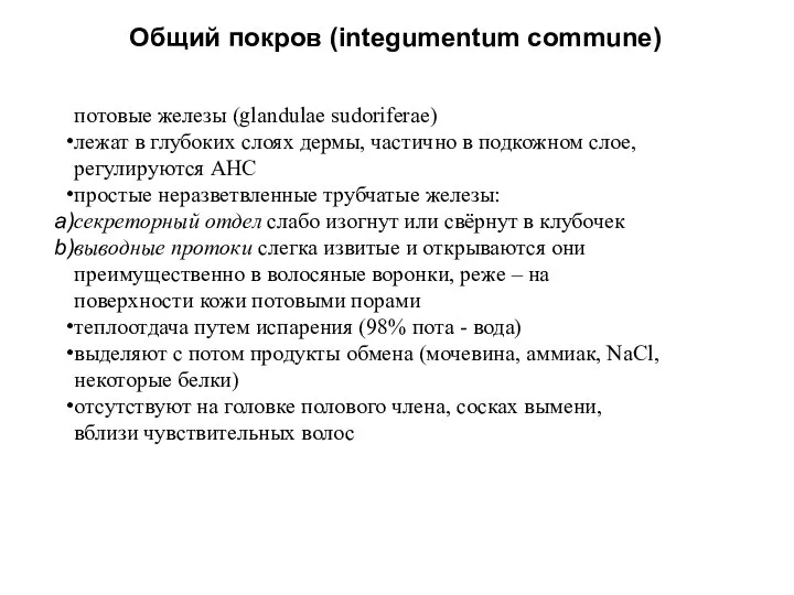 Общий покров (integumentum commune) потовые железы (glandulae sudoriferae) лежат в глубоких