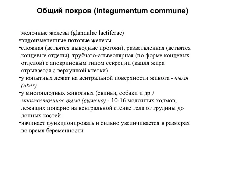 Общий покров (integumentum commune) молочные железы (glandulae lactiferae) видоизмененные потовые железы