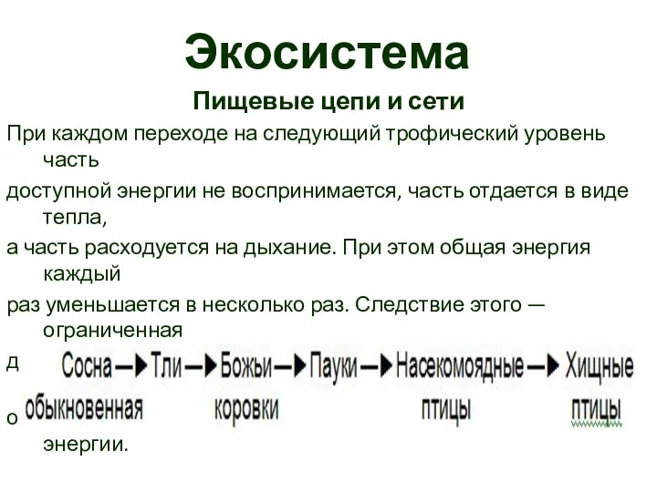 Экосистема Пищевые цепи и сети При каждом переходе на следующий трофический