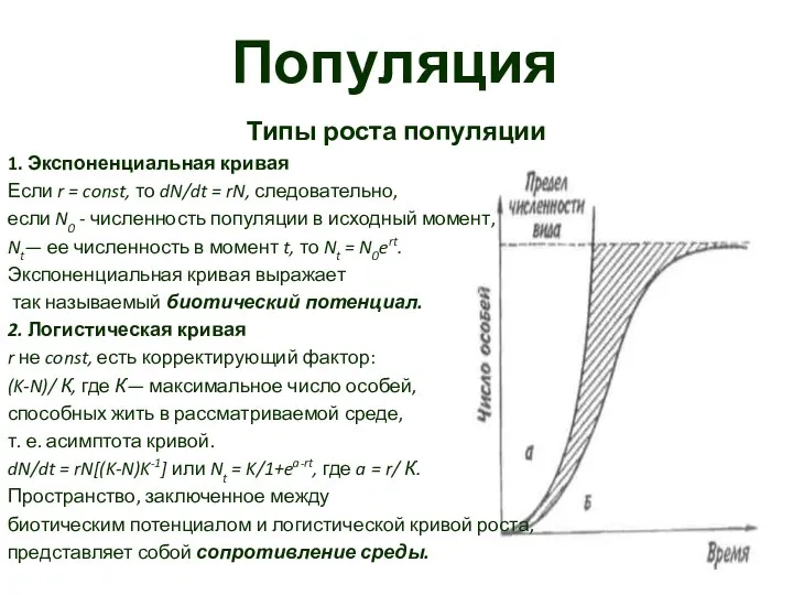 Популяция Типы роста популяции 1. Экспоненциальная кривая Если r = const,