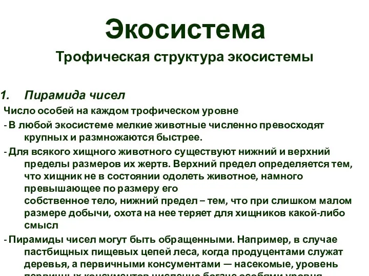 Экосистема Трофическая структура экосистемы Пирамида чисел Число особей на каждом трофическом