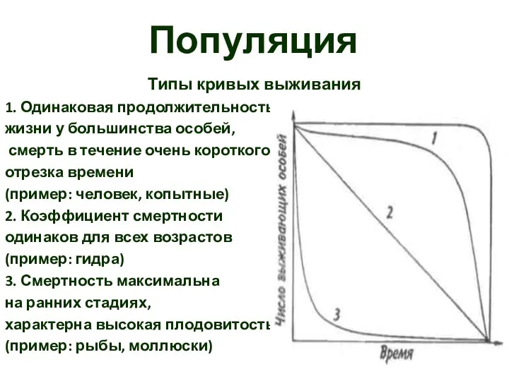 Популяция Типы кривых выживания 1. Одинаковая продолжительность жизни у большинства особей,