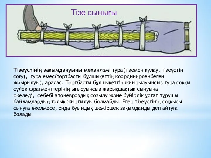 Тізе сынығы Тізеүстінің зақымдануыны механизмі тура(тіземен құлау, тізеүстін соғу), тура емес(төртбасты