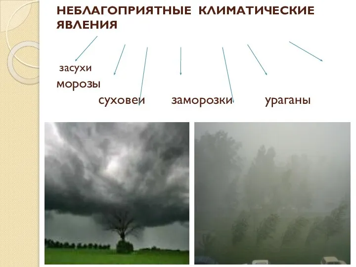 НЕБЛАГОПРИЯТНЫЕ КЛИМАТИЧЕСКИЕ ЯВЛЕНИЯ засухи морозы суховеи заморозки ураганы град гололед