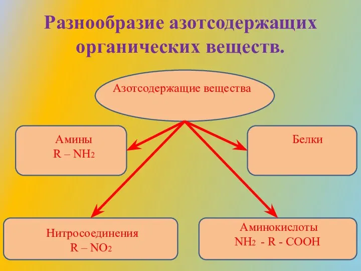 Разнообразие азотсодержащих органических веществ. Азотсодержащие вещества Амины R – NH2 Нитросоединения