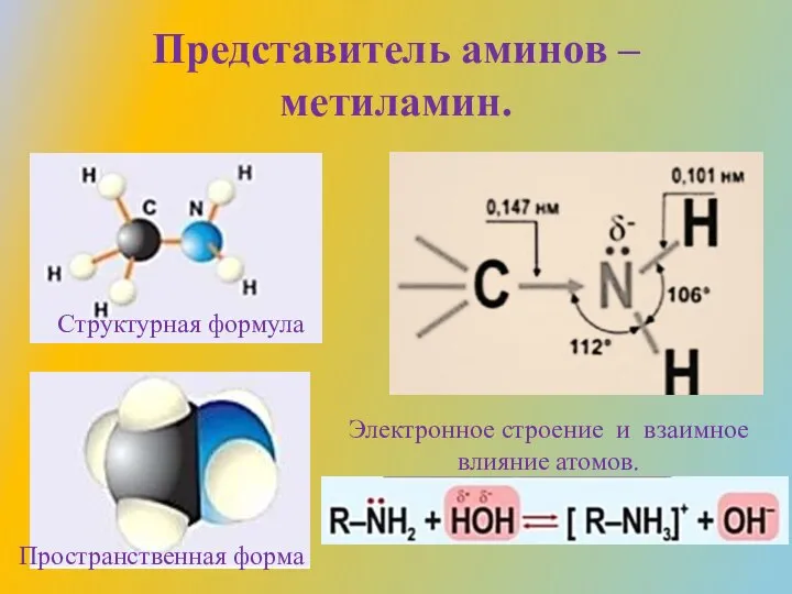 Представитель аминов – метиламин. Структурная формула Пространственная форма Электронное строение и взаимное влияние атомов.