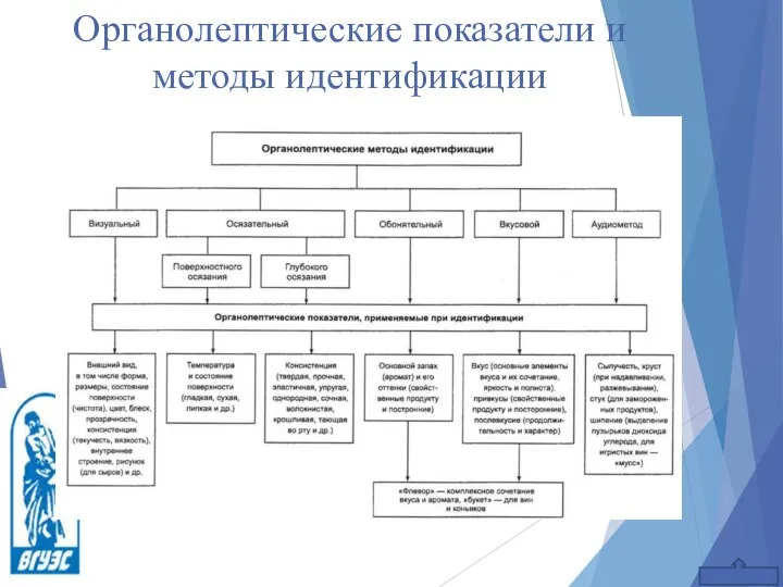 Органолептические показатели и методы идентификации