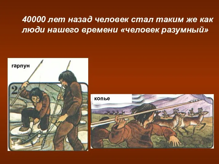 гарпун копье 40000 лет назад человек стал таким же как люди нашего времени «человек разумный»