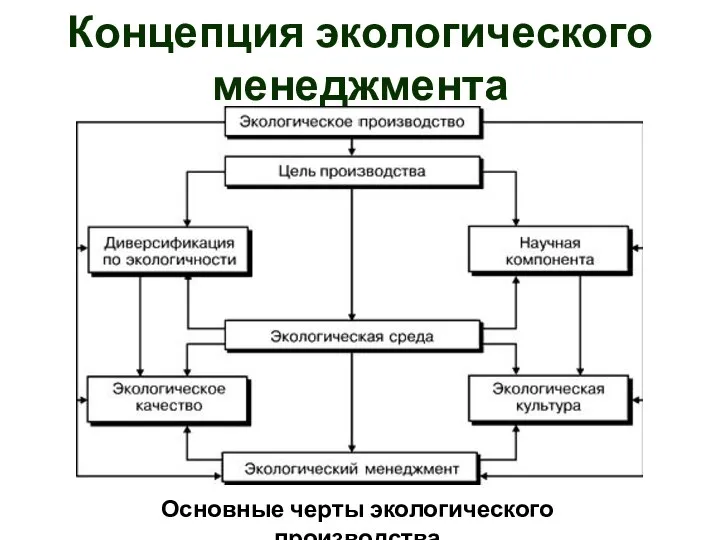 Концепция экологического менеджмента Основные черты экологического производства