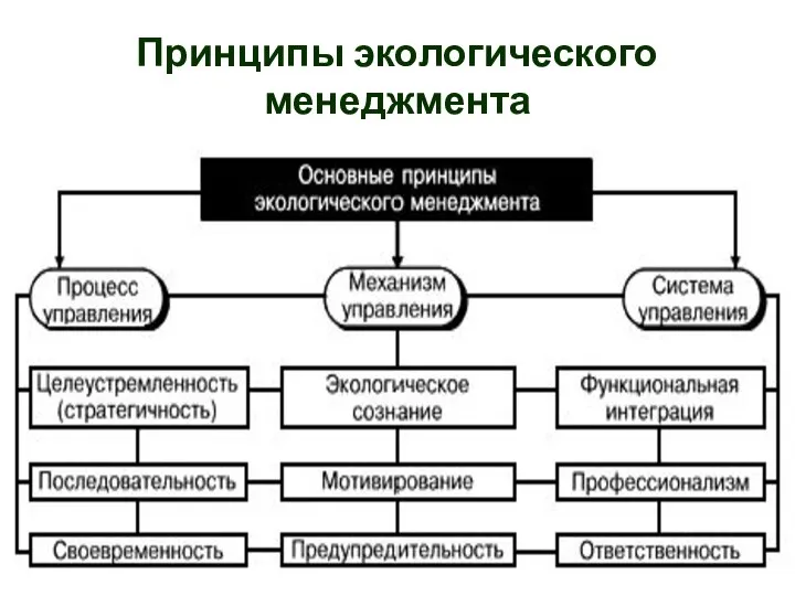 Принципы экологического менеджмента