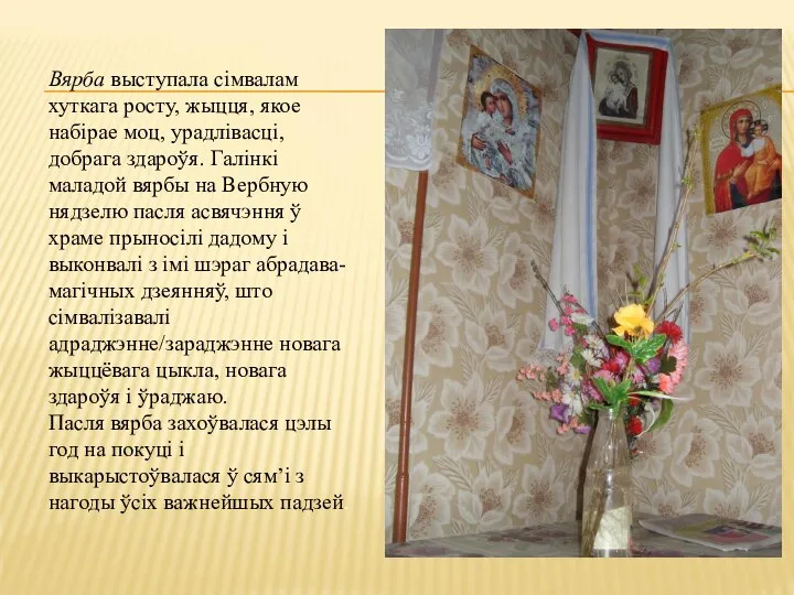 Вярба выступала сімвалам хуткага росту, жыцця, якое набірае моц, урадлівасці, добрага