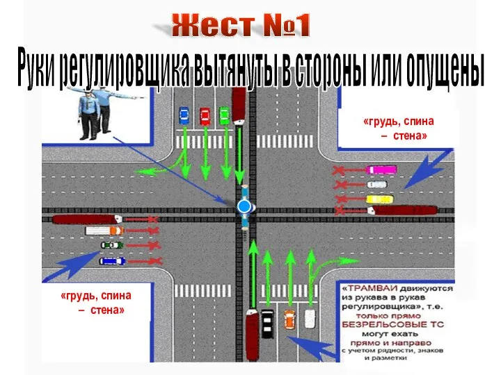 Жест №1 Руки регулировщика вытянуты в стороны или опущены «грудь, спина