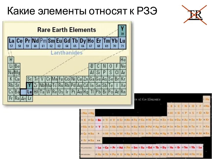 Какие элементы относят к РЗЭ (REE)? TR