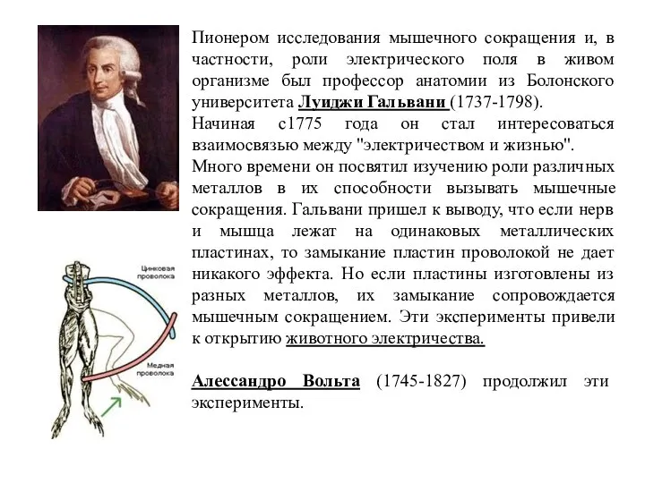 Пионером исследования мышечного сокращения и, в частности, роли электрического поля в