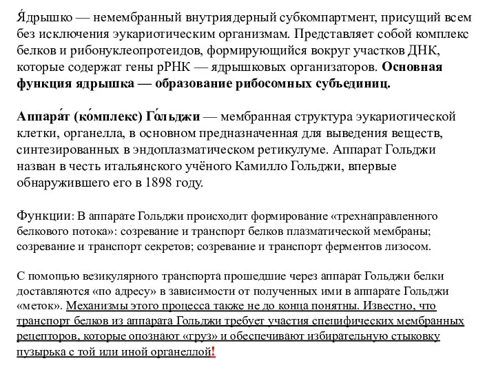 Я́дрышко — немембранный внутриядерный субкомпартмент, присущий всем без исключения эукариотическим организмам.