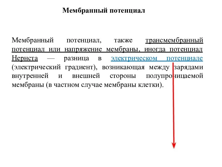 Мембранный потенциал Мембранный потенциал, также трансмембранный потенциал или напряжение мембраны, иногда