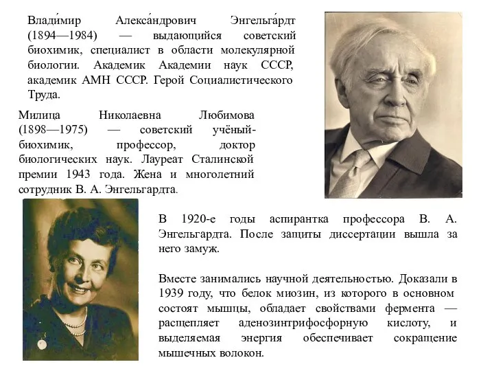 Влади́мир Алекса́ндрович Энгельга́рдт (1894—1984) — выдающийся советский биохимик, специалист в области