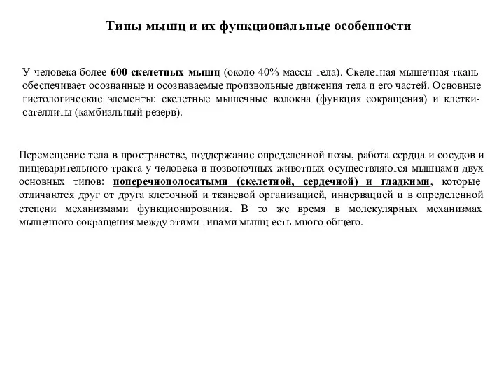 У человека более 600 скелетных мышц (около 40% массы тела). Скелетная