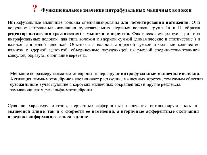 Интрафузальные мышчные волокна специализированы для детектирования натяжения. Они получают спиральные окончания