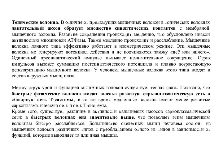 Тонические волокна. В отличие от предыдущих мышечных волокон в тонических волокнах