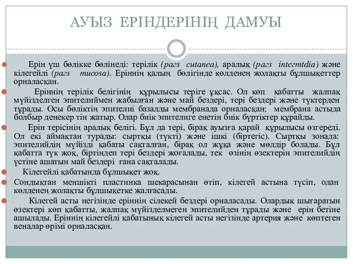 АУЫЗ ЕРIНДЕРIНІҢ ДАМУЫ Ерiн үш бөлiкке бөлiнедi: терiлiк (рагs сutаnеа), аралық