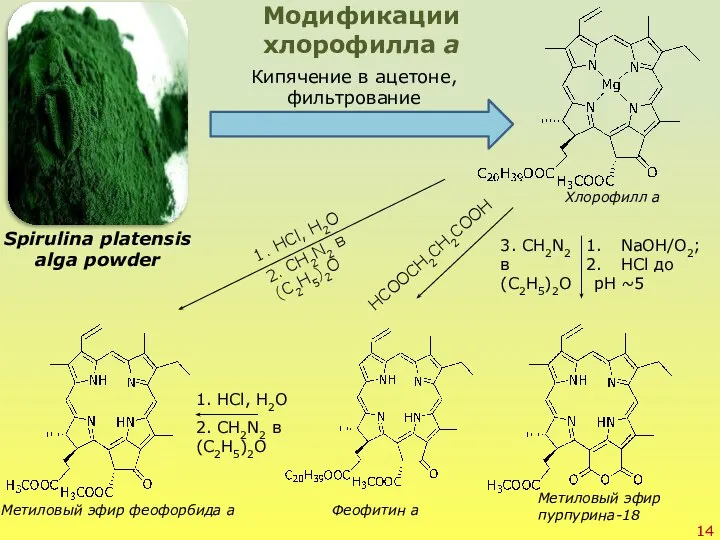 Spirulina platensis alga powder Кипячение в ацетоне, фильтрование Модификации хлорофилла а