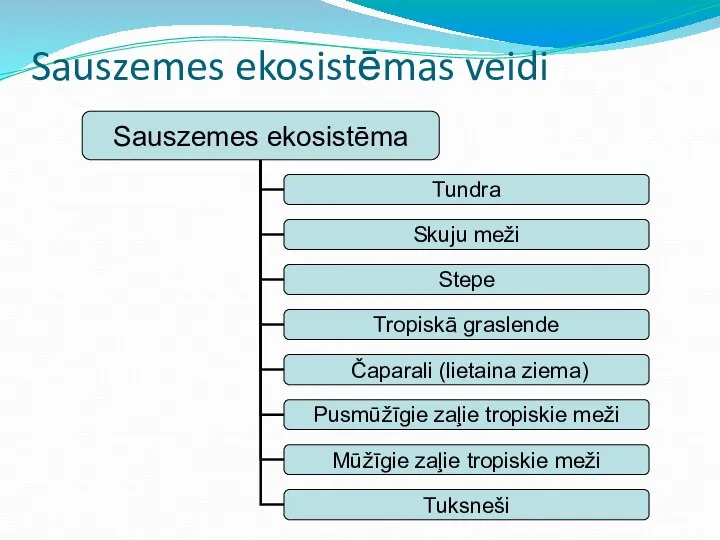 Sauszemes ekosistēmas veidi