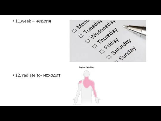 11.week – неделя 12. radiate to- исходит