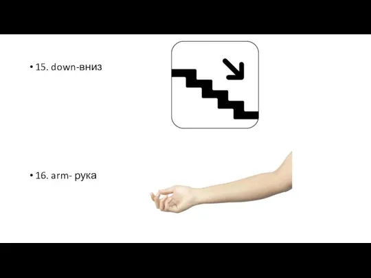 15. down-вниз 16. arm- рука