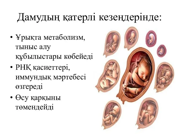 Дамудың қатерлі кезеңдерінде: Ұрықта метаболизм, тыныс алу құбылыстары көбейеді РНҚ қасиеттері,иммундық мәртебесі өзгереді Өсу қарқыны төмендейді