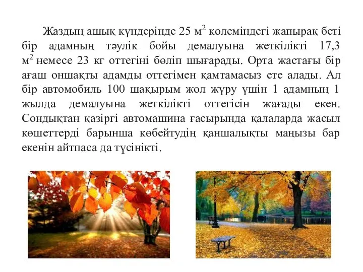 Жаздың ашық күндерінде 25 м2 көлеміндегі жапырақ беті бір адамның тәулік